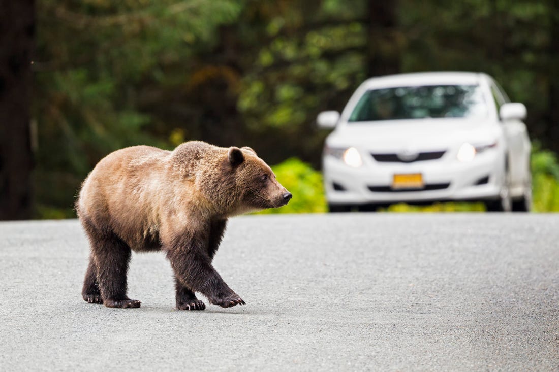 8 Helpful Tips For Getting Car Insurance Alaska
