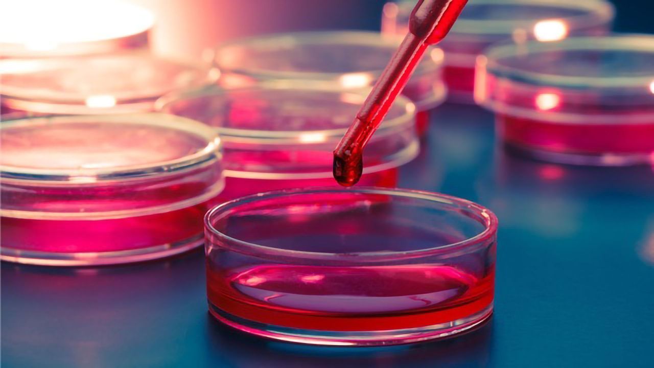 Global Cell Tissue Culture Supplies Market - Forecast - 2026