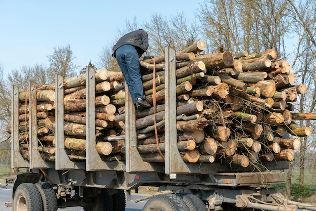 How to Safely Drive With a Load of Firewood