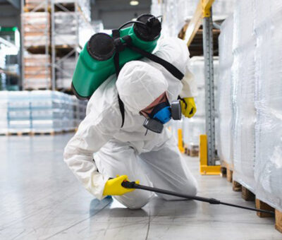 Pest Control Services In Sharjah